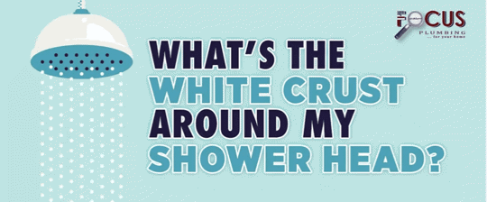 What's the white crust around my shower head?